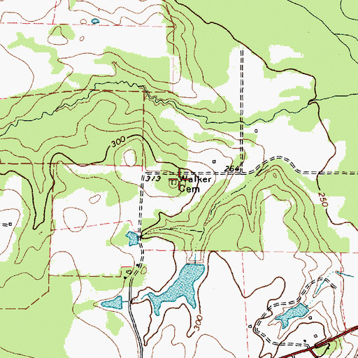 Topographic Map of Walker Cemetery, TX