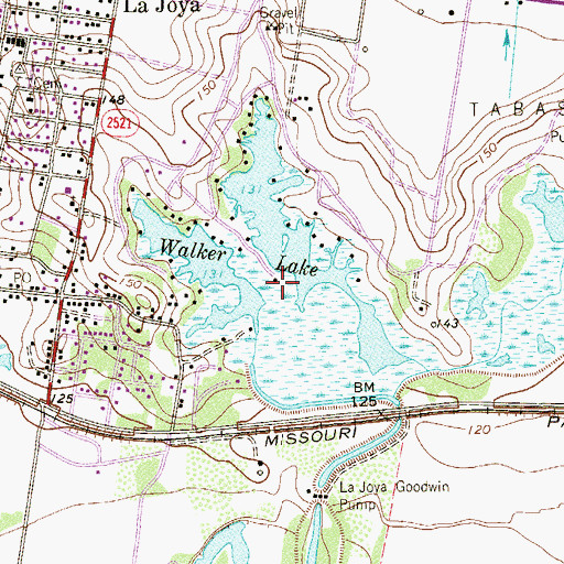 Topographic Map of Walker Lake, TX