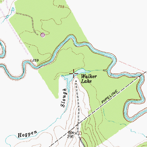 Topographic Map of Walker Lake, TX