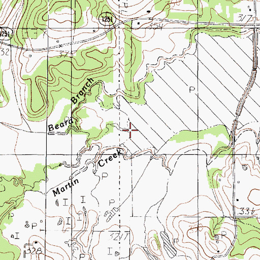 Topographic Map of Walkers Creek, TX