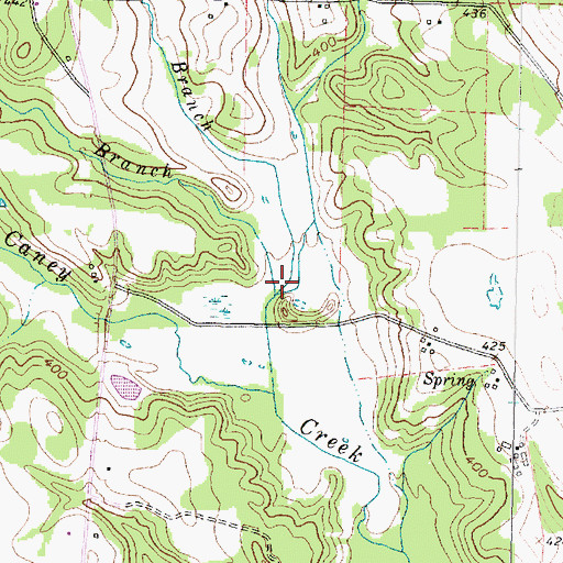 Topographic Map of Wallace Branch, TX