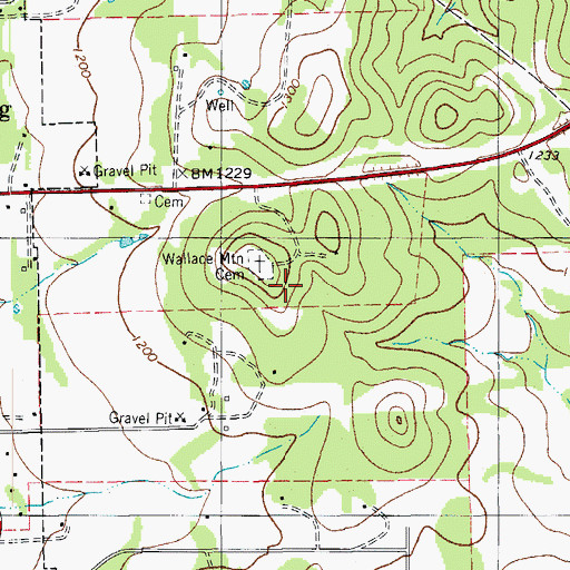 Topographic Map of Wallace Mountain Cemetery, TX