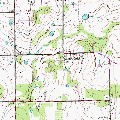 Topographic Map of Walnut Creek Cemetery, TX