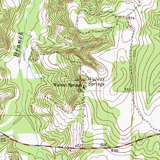 Topographic Map of Walnut Spring, TX