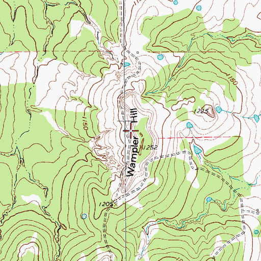 Topographic Map of Wampler Hill, TX