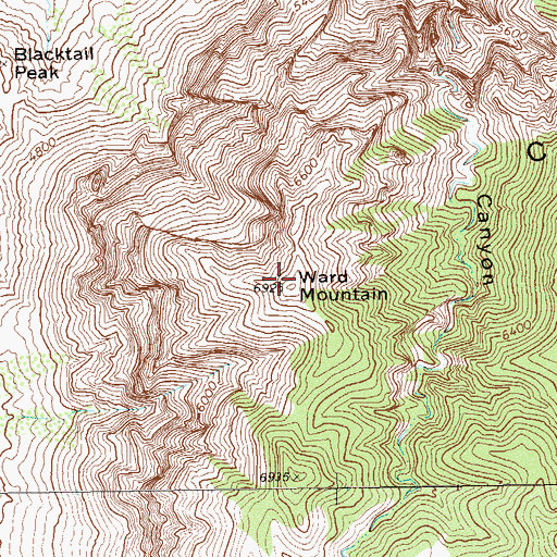 Topographic Map of Ward Mountain, TX