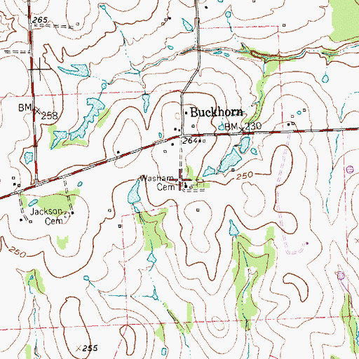 Topographic Map of Washam Cemetery, TX