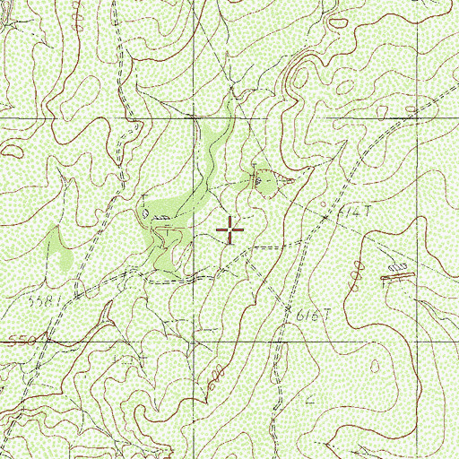 Topographic Map of Wayne Ranch, TX