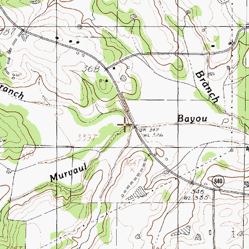 Topographic Map of Welch Springs Branch, TX