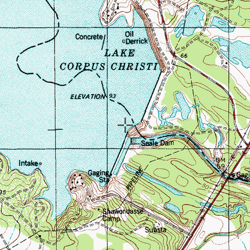 Topographic Map of Wesley E Seale Dam, TX