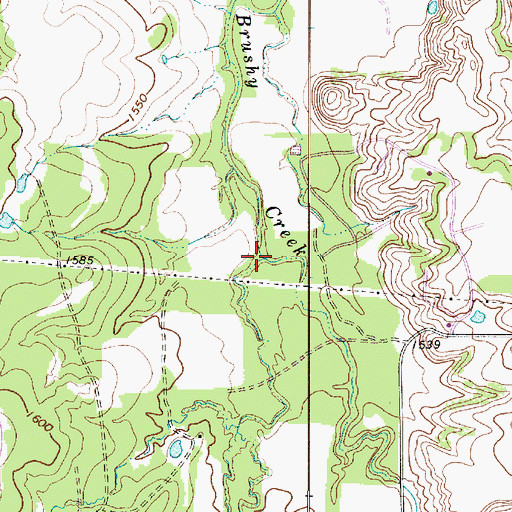 Topographic Map of West Fork Brushy Creek, TX