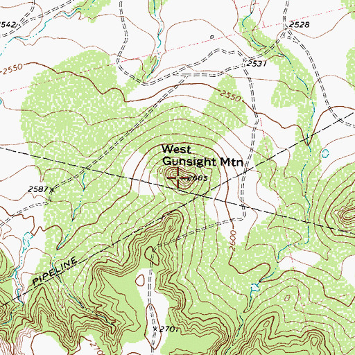 Topographic Map of West Gunsight Mountain, TX