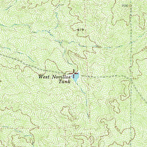 Topographic Map of West Novillos Tank, TX