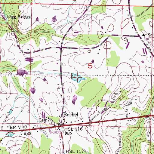Topographic Map of Whites Pond, AL