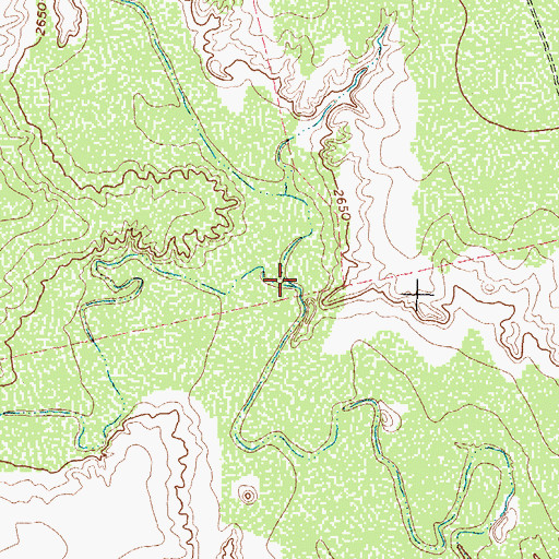 Topographic Map of Wet Tobacco Creek, TX