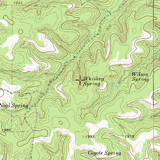 Topographic Map of Whiskey Spring, TX