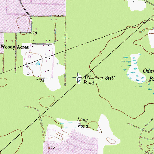 Topographic Map of Whiskey Still Pond, TX