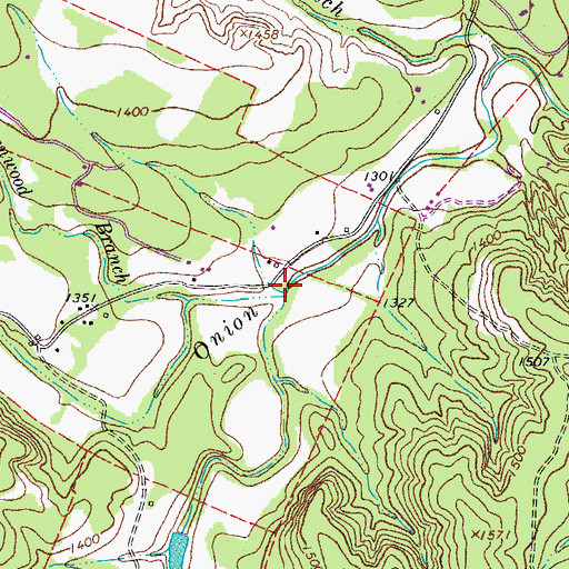 Topographic Map of White Branch, TX