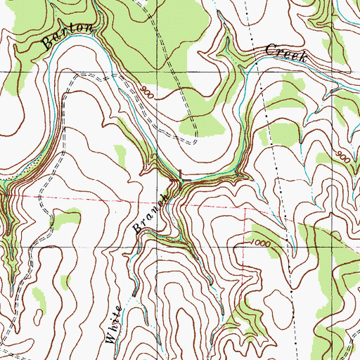 Topographic Map of White Branch, TX