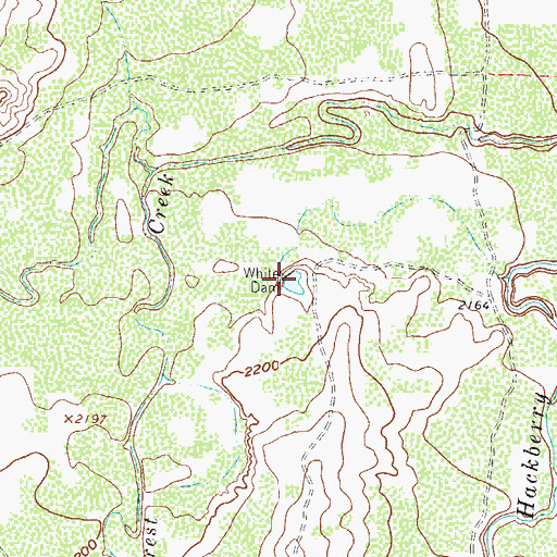 Topographic Map of White Dam, TX