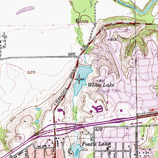 Topographic Map of White Lake, TX