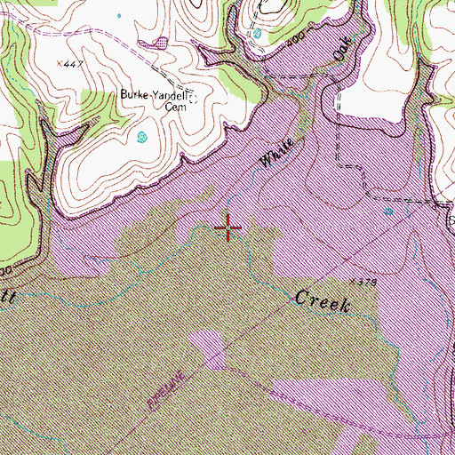 Topographic Map of White Oak Branch, TX