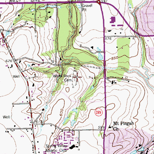 Topographic Map of White Rock Cemetery, TX