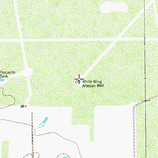 Topographic Map of White Wing Artesian Well, TX