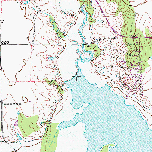 Topographic Map of Whites Branch, TX
