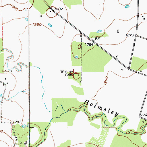 Topographic Map of Whitney Cemetery, TX