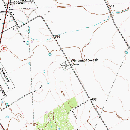 Topographic Map of Whitney-Towash Cemetery, TX