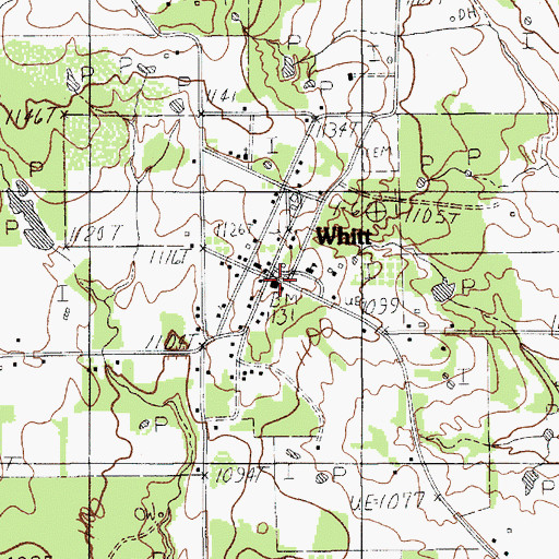 Topographic Map of Whitt, TX