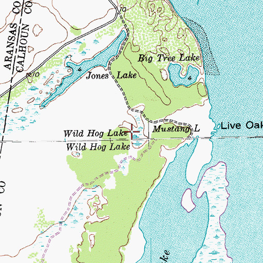 Topographic Map of Wild Hog Lake, TX