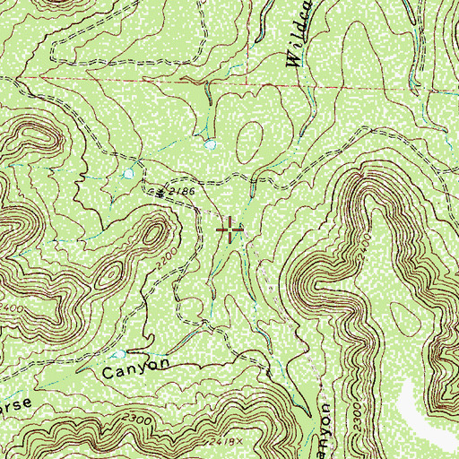 Topographic Map of Wildcat Canyon, TX