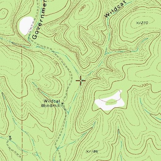 Topographic Map of Wildcat Canyon, TX