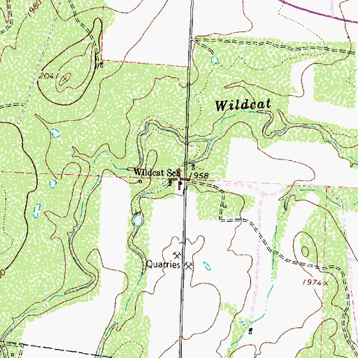 Topographic Map of Wildcat School, TX