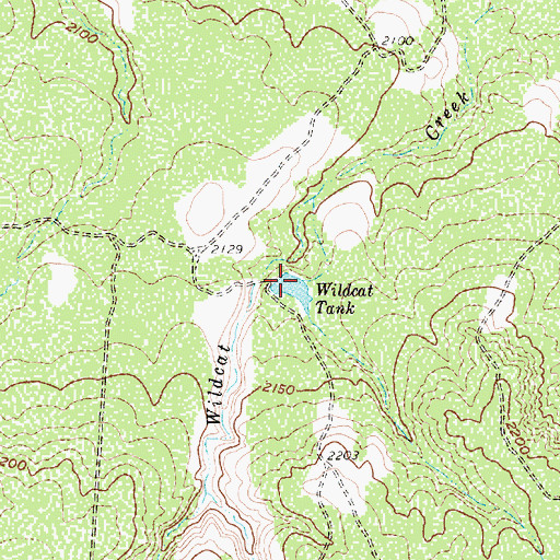 Topographic Map of Wildcat Tank, TX