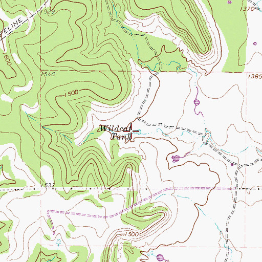 Topographic Map of Wildcat Tank, TX
