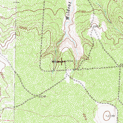 Topographic Map of Wildcat Windmill, TX