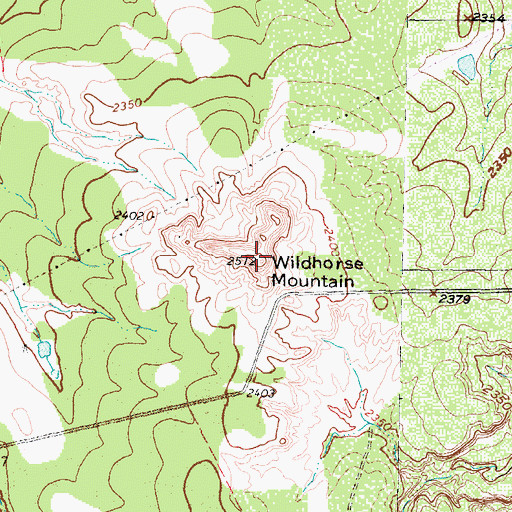 Topographic Map of Wildhorse Mountain, TX