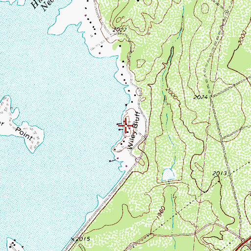 Topographic Map of Wiley Bluff, TX