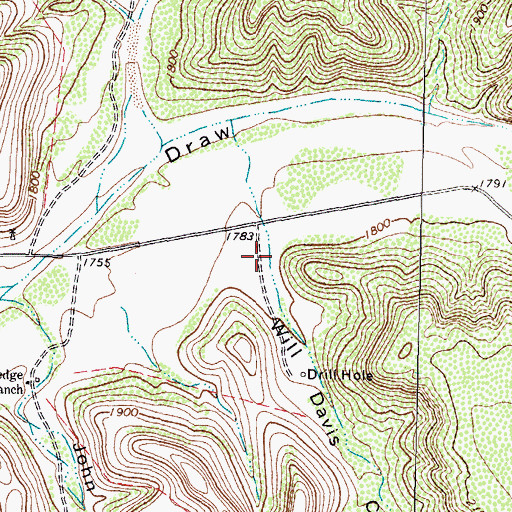 Topographic Map of Will Davis Canyon, TX