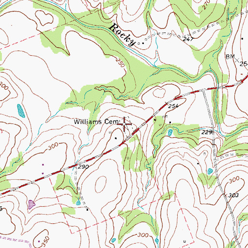 Topographic Map of Williams Cemetery, TX