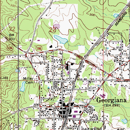 Topographic Map of Georgiana High School, AL
