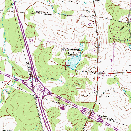 Topographic Map of Williams Lakes, TX