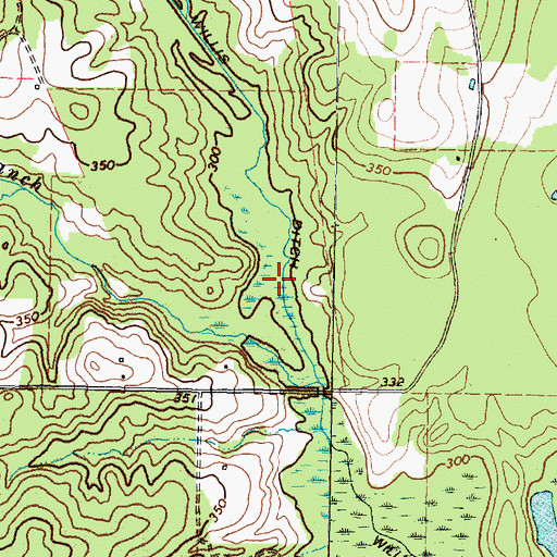 Topographic Map of Willis Ditch, TX