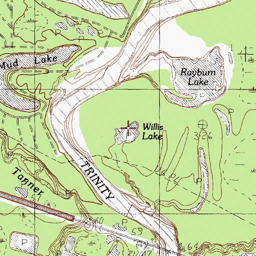 Topographic Map of Willis Lake, TX