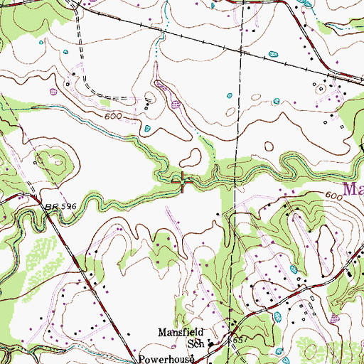 Topographic Map of Willow Branch, TX