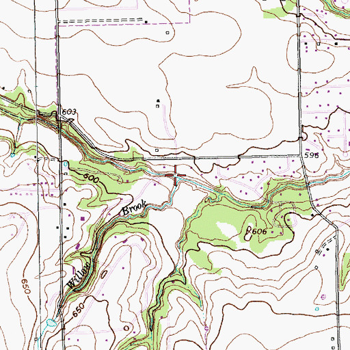 Topographic Map of Willow Brook, TX