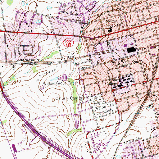 Topographic Map of Willow Grove Cemetery, TX